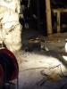 Klik for at vise sam_1012_t1.jpg